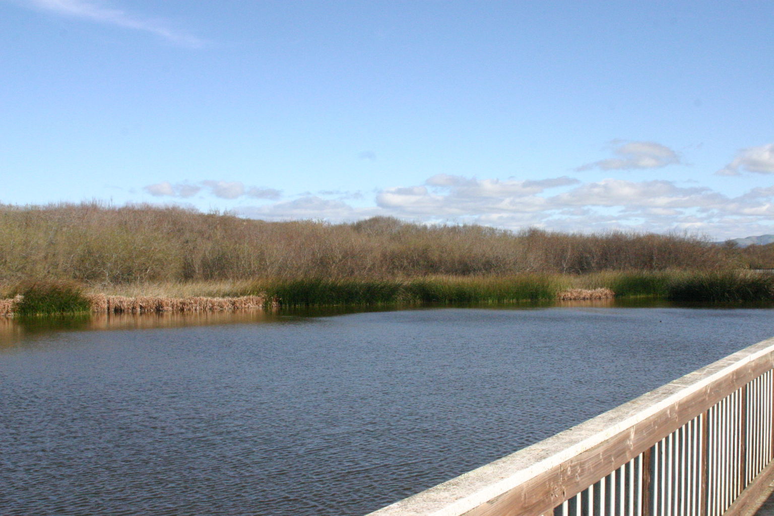 Oso Flaco Boardwalk